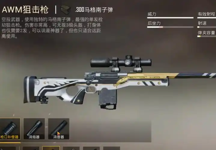 和平精英:没有配件的吃鸡武器,awm竟然很弱!_狙击枪