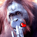 换醒が沉睡的主页