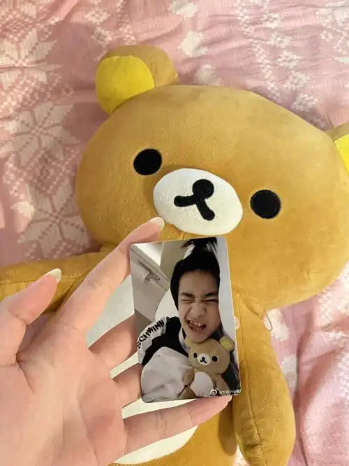 关于小熊的事关于你也关于我