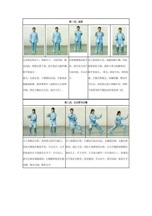 二十四式简化太极图解
