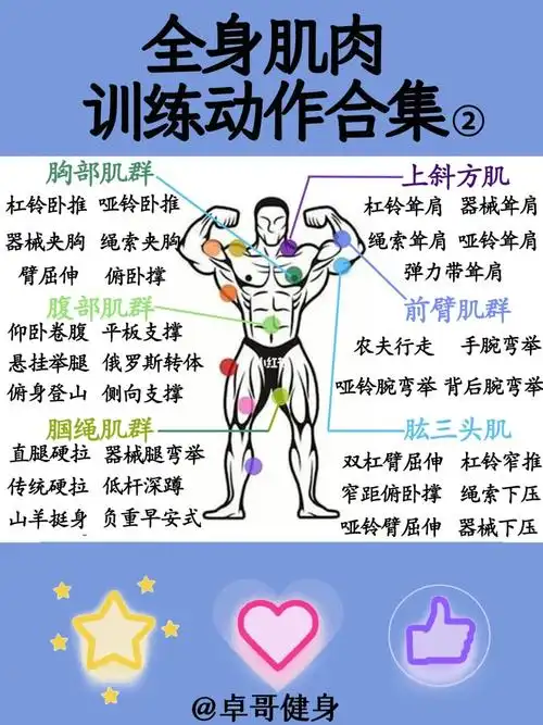 全身肌肉训练动作合集② | 建议收藏