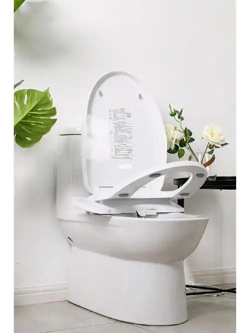 酱酱酱酱马桶升级改造的神器