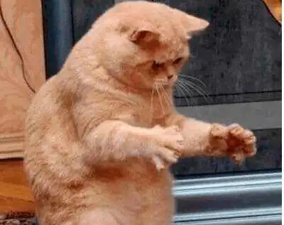 嗯……怎么说呢,气温大概下降了这么多