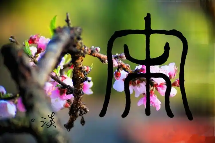 宋- 堆糖,美图壁纸兴趣社区