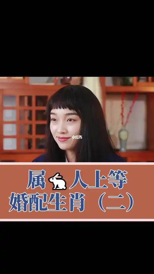 属兔人的上等婚配生肖二生肖爱情婚姻家庭