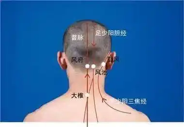 视力不好,按后脑勺,当天即可见效!_眼睛_女患者_颈部