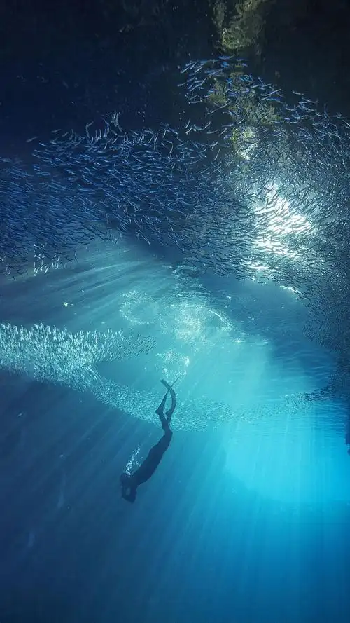 东南亚潜水旅游换个方式看海