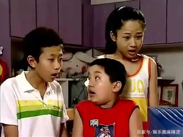 《家有儿女》的"小雨",小时候又萌又可爱,如今形象长"残"了