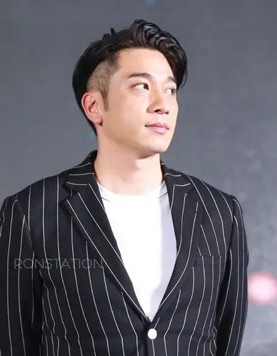 吴卓羲格纹西装活动照图片