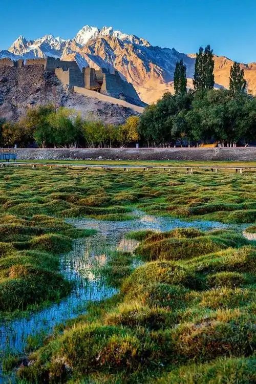 总要去趟新疆吧!最美的风景不在终点,而在路上