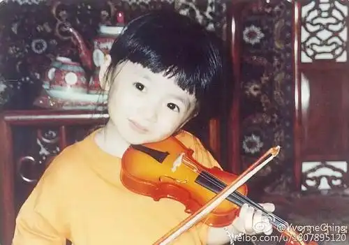 郑恺女朋友的妈妈长得好美神似小青陈美琪可惜爸爸拉低了颜值