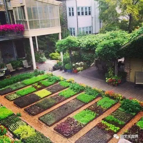 庭院设计师手册——庭院内的植物及菜地!