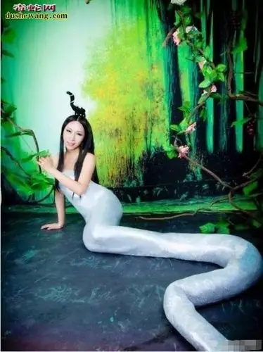 2014蛇女和72年蛇男婚配73年男牛跟77年女蛇婚配好不好