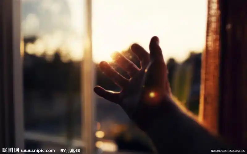 阳光窗户图片