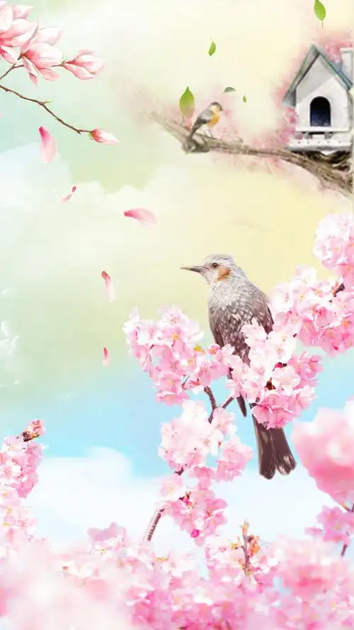 春天春景春花h5背景