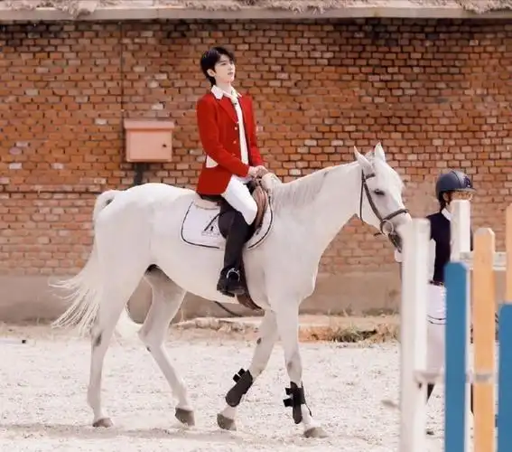 蔡徐坤不,因为,我喜欢你 少年迎着光,骑着一匹白马,身着红色骑马装,神