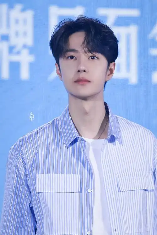 王一博纯甄品牌代言人