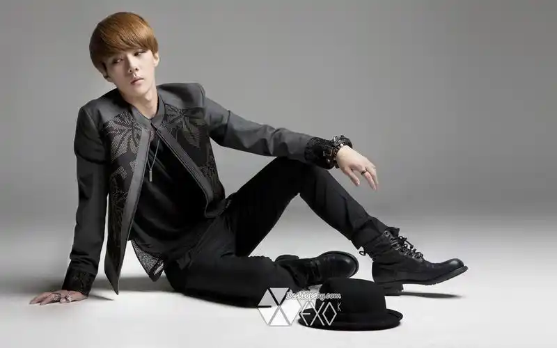 exo帅哥明星高清写真图片合集电脑桌面壁纸下载第五辑