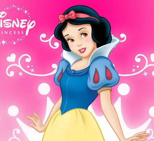 欧美爆款白雪公主与七矮人cosplay动漫假发黑色短卷发