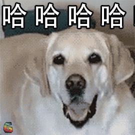 萌宠狗狗开心哈哈哈soogifsoogif出品gif动图_动态图_表情包下载_soo