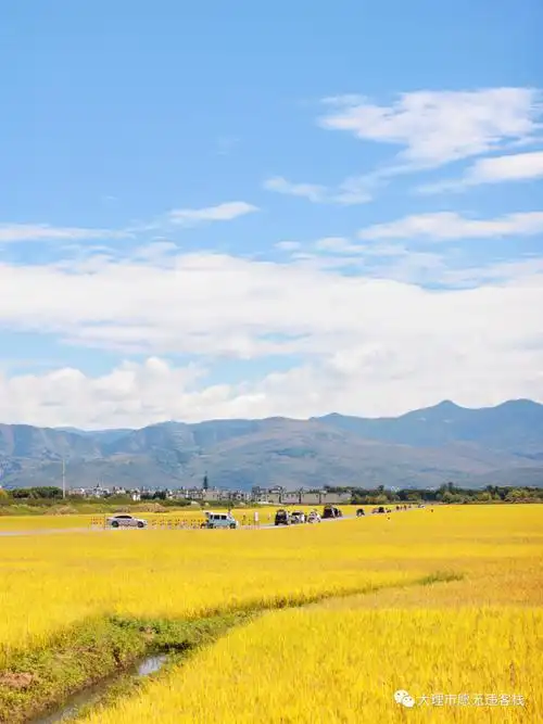 喜欢秋天,喜欢秋天的田野!(附实拍美图)