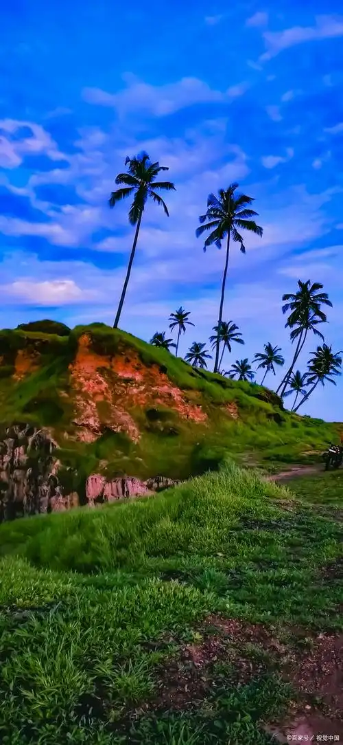 风景壁纸|色彩斑斓的大自然