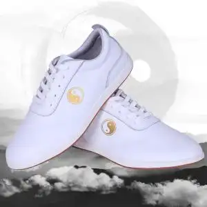 太极运动鞋夏季春夏