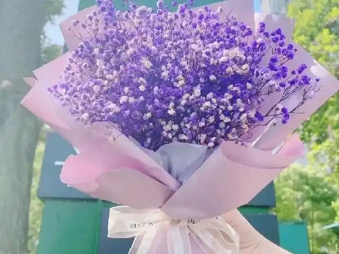 总有一天会有一个男孩子手捧满天星 - 抖音