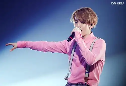 exo演唱会 二巡首尔 壁纸