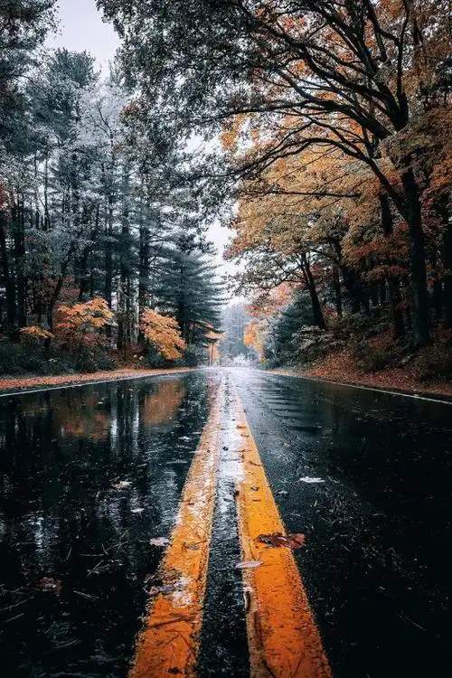 风景小清新文艺欧美风iphone手机壁纸唯美壁纸锁屏背景