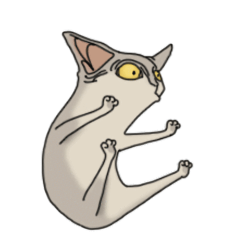 《busy cats》gif表情包制作