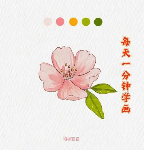 每天一分钟学画系列桃花