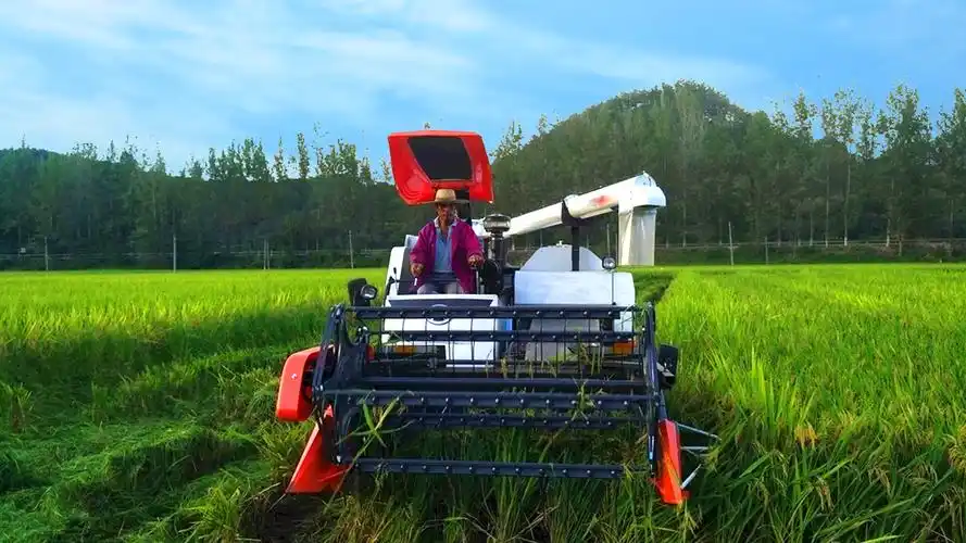 稻谷收割机 - 热门商品专区