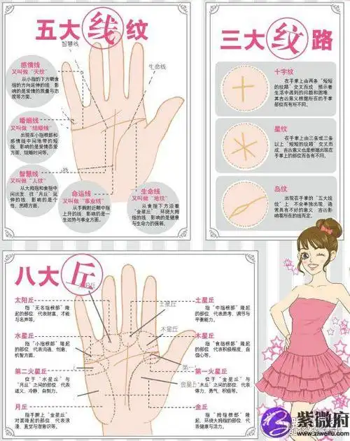 婚姻线掌纹图解