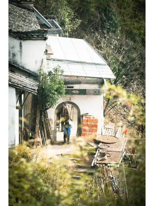 偶然走进大山的秘密姬公尖