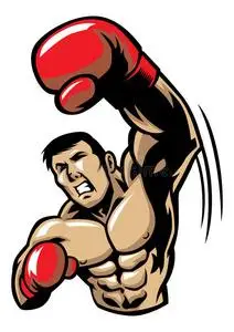 拳击手拳照片