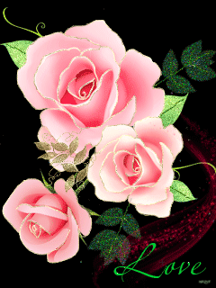 gif# #鲜花# #玫瑰# 灬铃兰灬采集