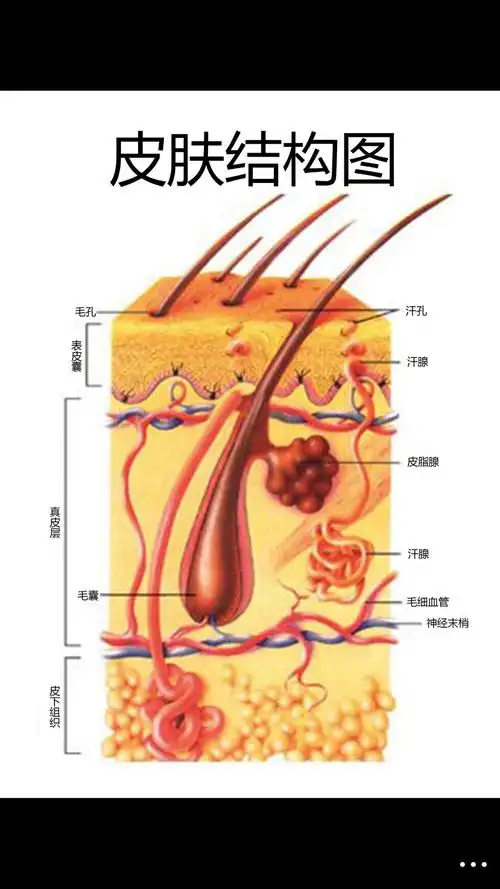 源发堂一秀发飘逸,还原自信