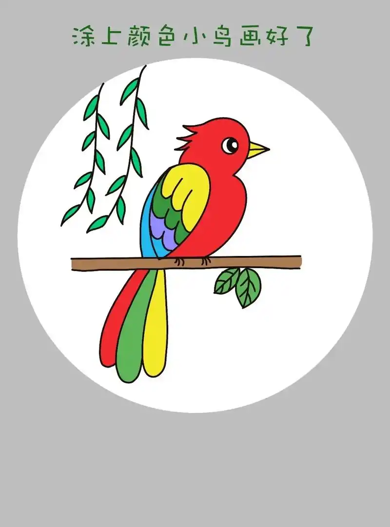简单又可爱一学就会的小鸟儿童画教程,适合儿童 - 抖音