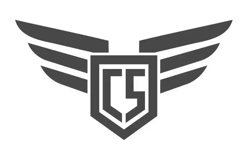 cs商标查询详情