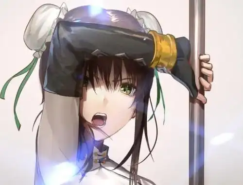 fgo四星枪阶秦良玉强度如何