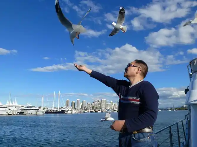 在游艇上喂食海鸥