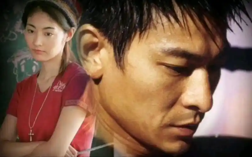 刘德华电影阿虎