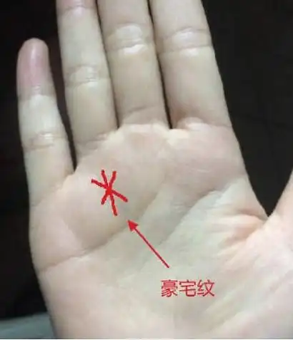 9种财富纹的手相图解你知道几种呢