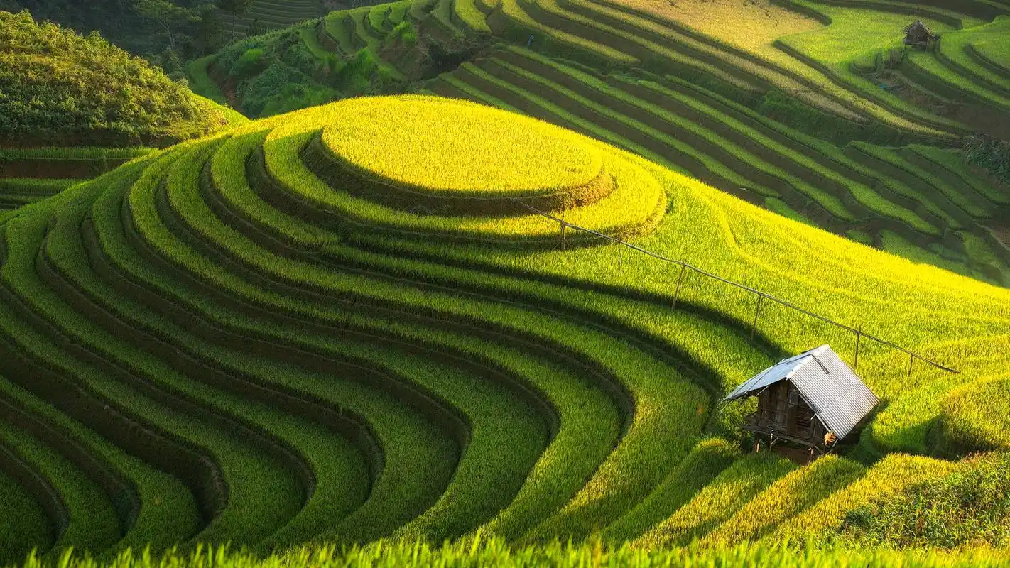 绿色系护眼壁纸大图,清新好看,让人心旷神怡.