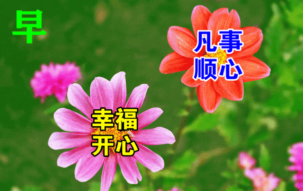 快乐|清晨|晨光|幸福|好运_网易订阅