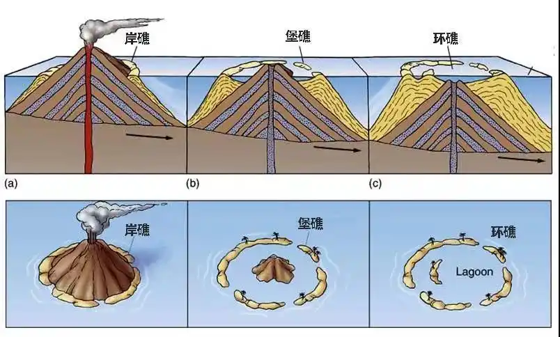 小公举还是老腊肉,什么是珊瑚海岸?