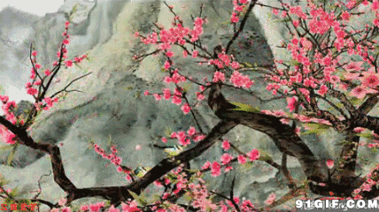 428_240gif 动态图 动图