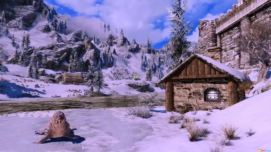 上古卷轴5天际风盔城法师小屋mod