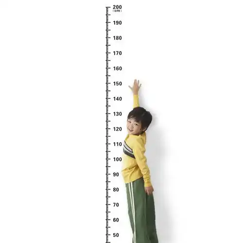 家用教室身高舞蹈成人体检尺子测量仪